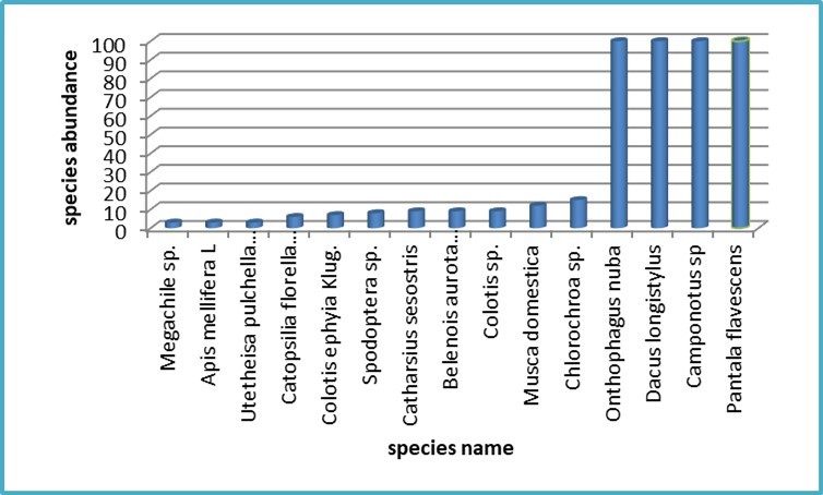 Insect species dynamic in the flat site