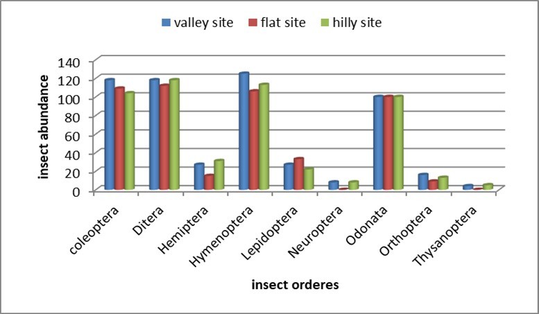 Insect abundance based on the total counts of sampled orders from the three elevated sites