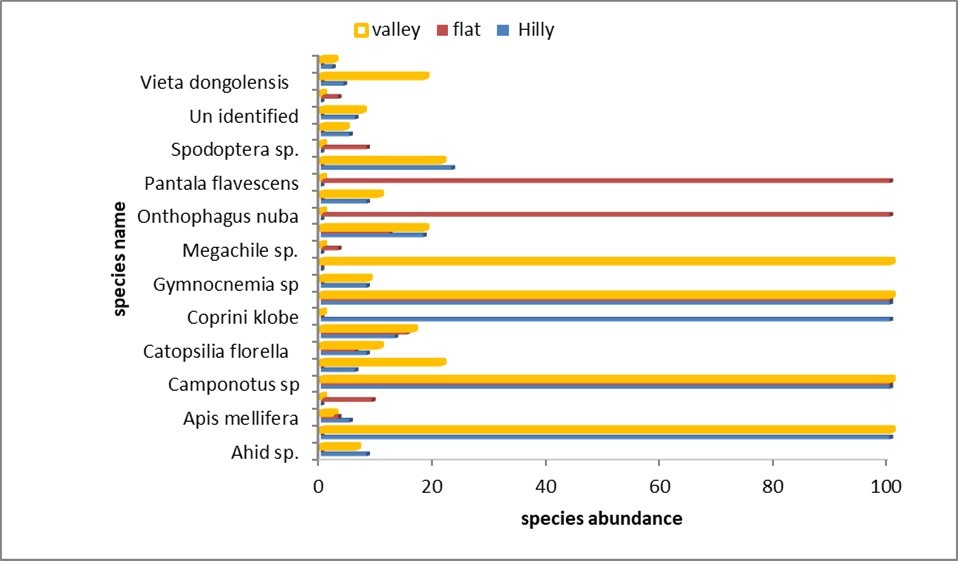 Species dynamic in the three study sites
