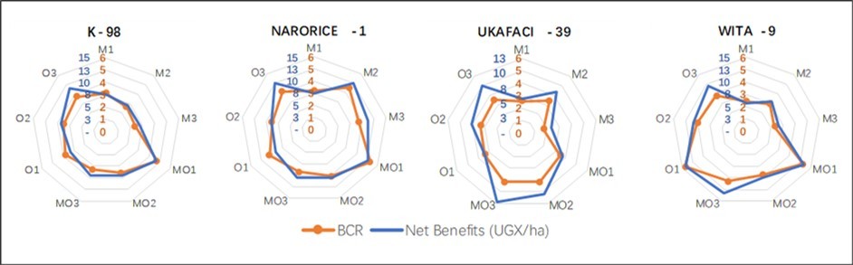 Figure 6. Comparison of the net benefits (UGX/ha) and the cost-benefit ratio of growing four irrigated lowland rice varieties with varying levels of N fertilizers from three sources: mineral (M), organic (O), and a combination of both mineral and organic (MO) fertilizers. The chart has two scales: the blue scale shows net benefits in UGX per hectare, and the amber scale displays cost-benefit ratios