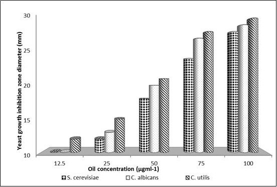  Effect of different concentrations of in-vitro extracted Prunus armeniace oil on the growth inhibition zones diameters against three yeast strains